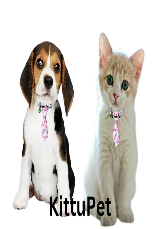 KittuPet Dog Neck tie, Unique Dog Collar, Unique cat Collar, Breakaway Buckle (Grey, Printed Design) - Image 4